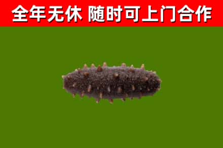 黄石市烟酒回收干海参.jpg